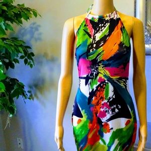 " In Living Color" Dress